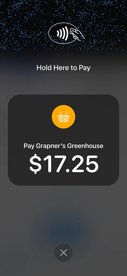 Tap to Pay on iPhone