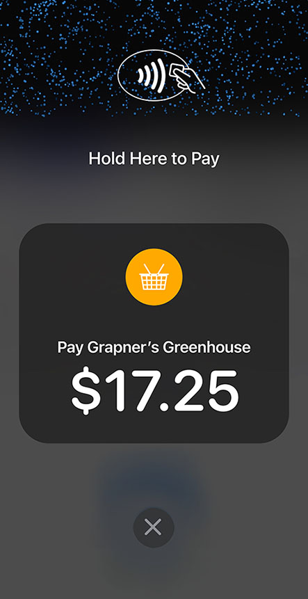 Tap to Pay on iPhone